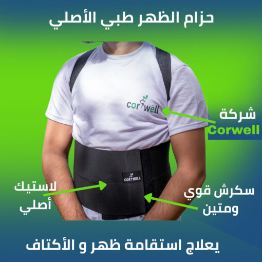 حزام الضهر – Image 2