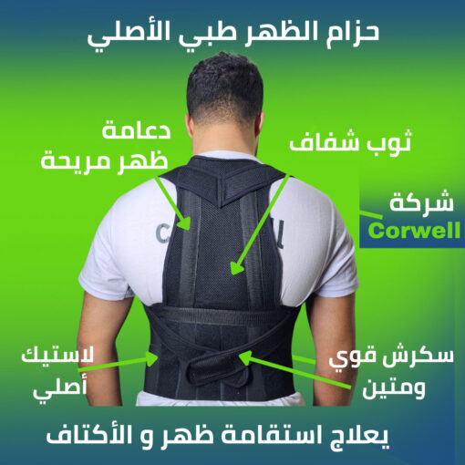 حزام الضهر
